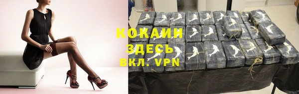 сатива Дмитриев