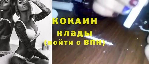 сатива Дмитриев