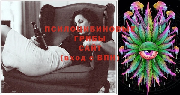 прущий лед Дмитровск