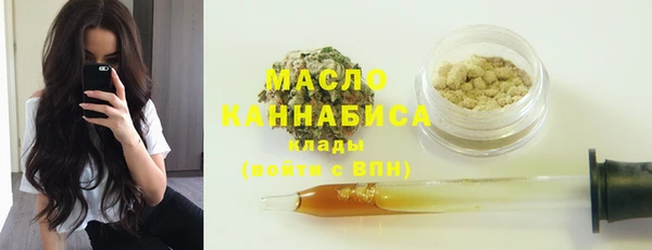 гашик Ельня