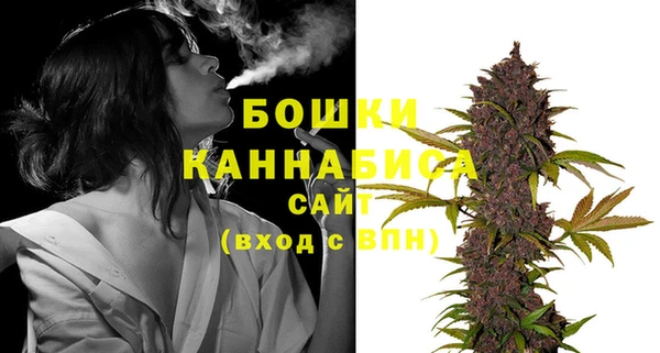 сатива Дмитриев