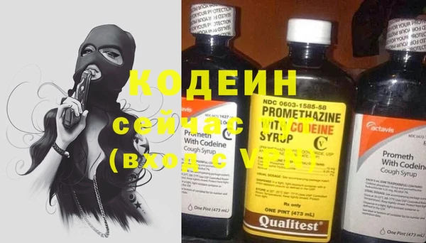 сатива Дмитриев