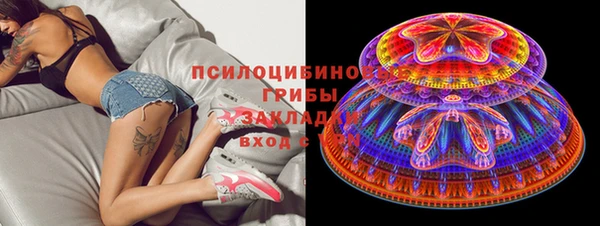 сатива Дмитриев