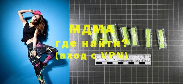 гашик Ельня