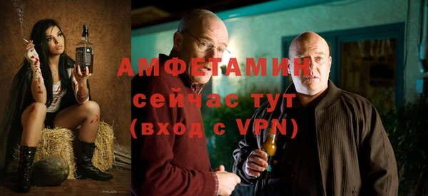 сатива Дмитриев