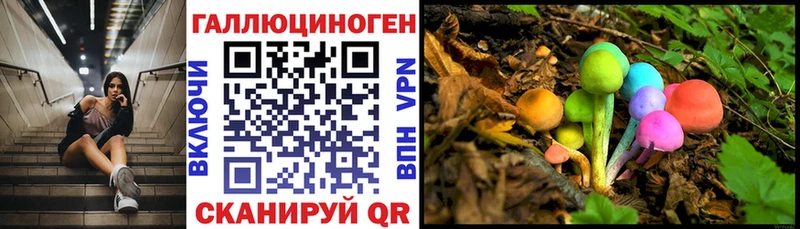 Псилоцибиновые грибы GOLDEN TEACHER  Знаменск 